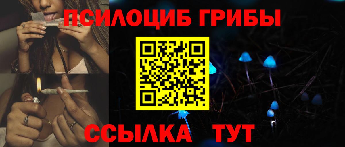 Галлюциногенные грибы Psilocybe  Вход с VPN  Благовещенск  Псилоцибиновые грибы Psilocybe 